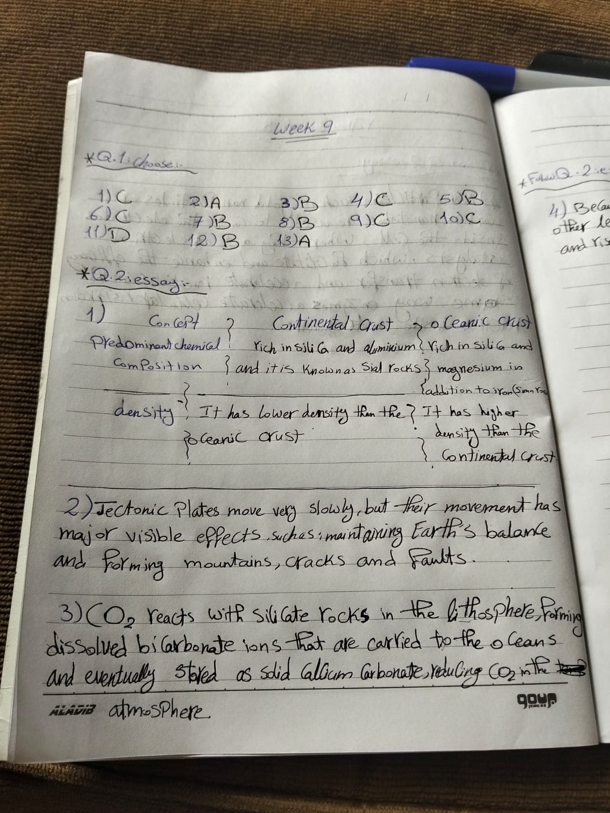 أداء الساينس المنزلي الأسبوع التاسع (1)